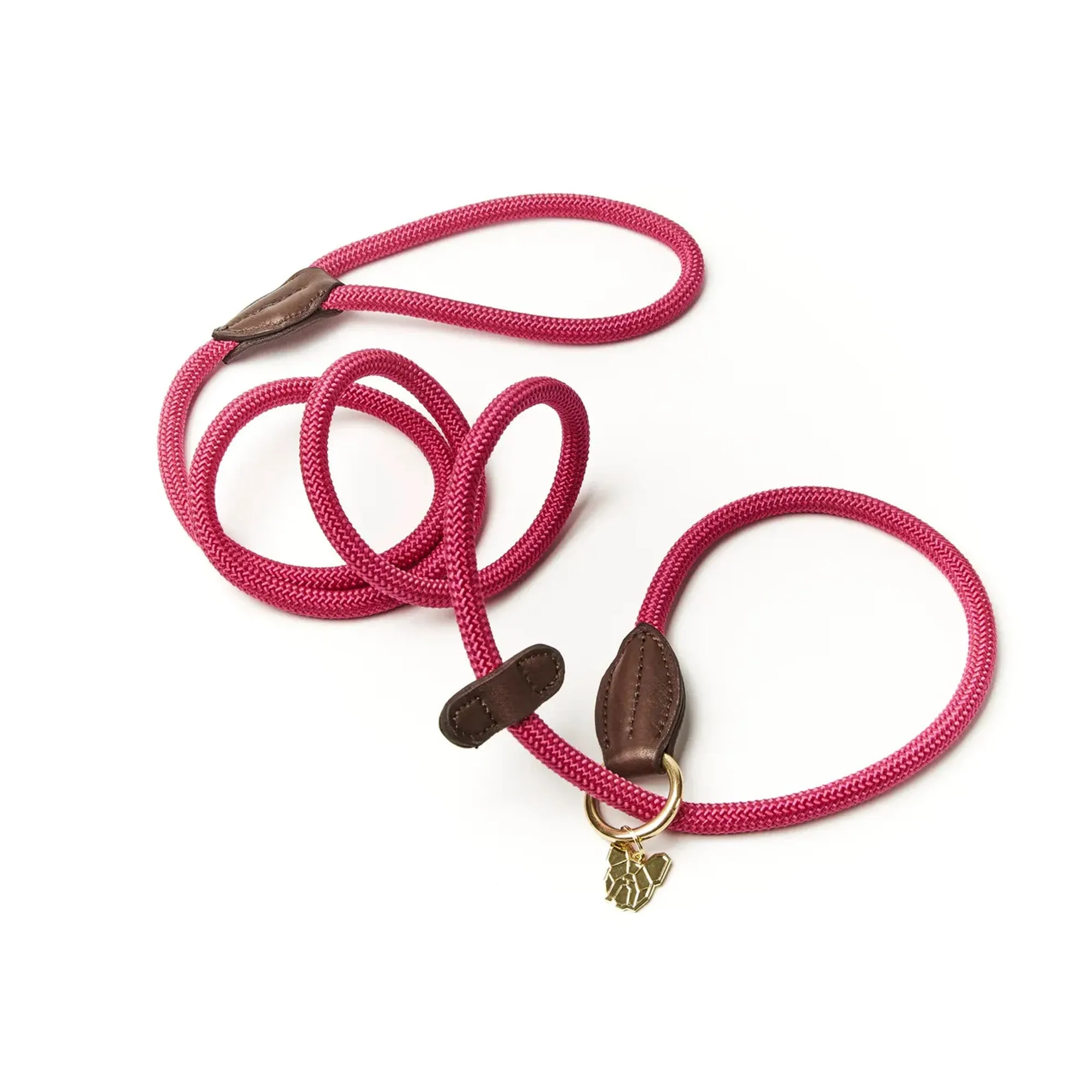 Digby & Fox Fine Rope Slip Lead