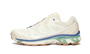 Salomon XT-6 Vanilla Ice Granite Green Gum